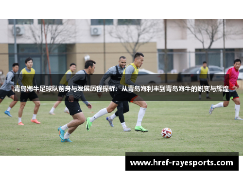 青岛海牛足球队前身与发展历程探析:从青岛海利丰到青岛海牛的蜕变与辉煌 青岛海牛足球队前身与发展历程探析:从青岛海利丰到青岛海牛的蜕变与辉煌